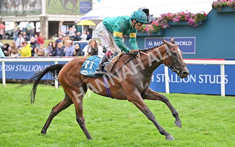 200826-137 Prizeland - Race 5 16.10pm British EBF & Sir Henry Cecil Galtres Stakes