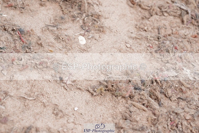 250505-133428-04536 - Cls 23+24 Club and Schools 80cm