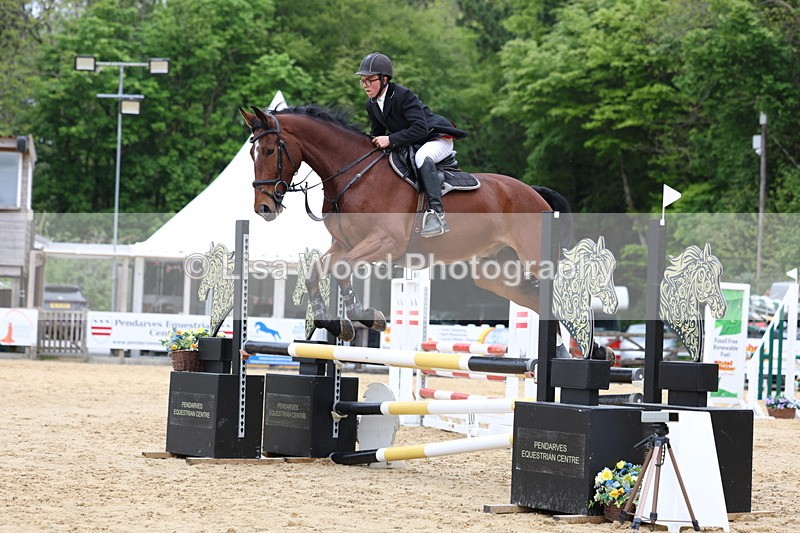 3E7A5995 - Class 4: Senior British Novice/90cm open