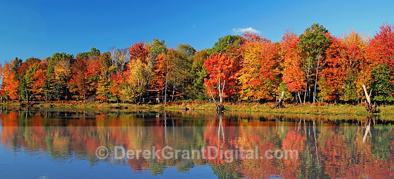 Autumn Reflections New Brunswick Fall Foliage - Autumn Foliage