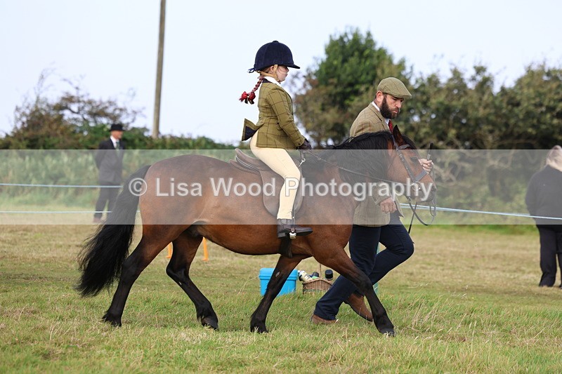 3E7A3556 - Class 2: Lead rein