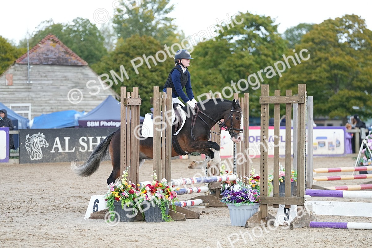 SBM_21111 - J49 - Open 50cm