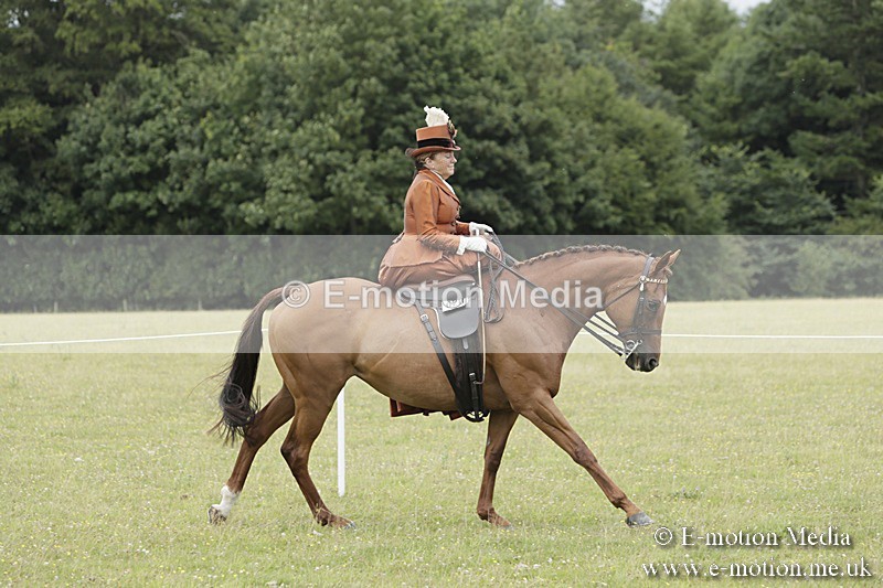 BVR160717-2426 - Side Saddle Classes 16/07/17