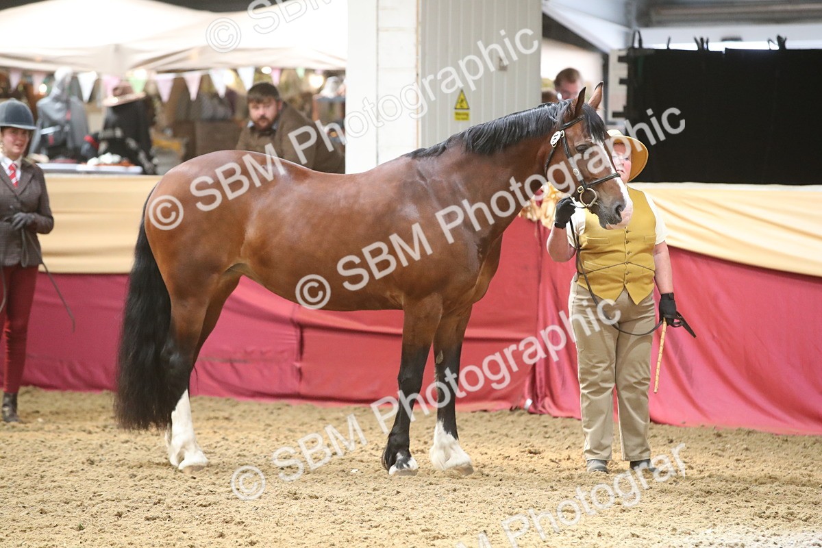 SBM_05603 - Class 9R - Regional IH Pre-Vet