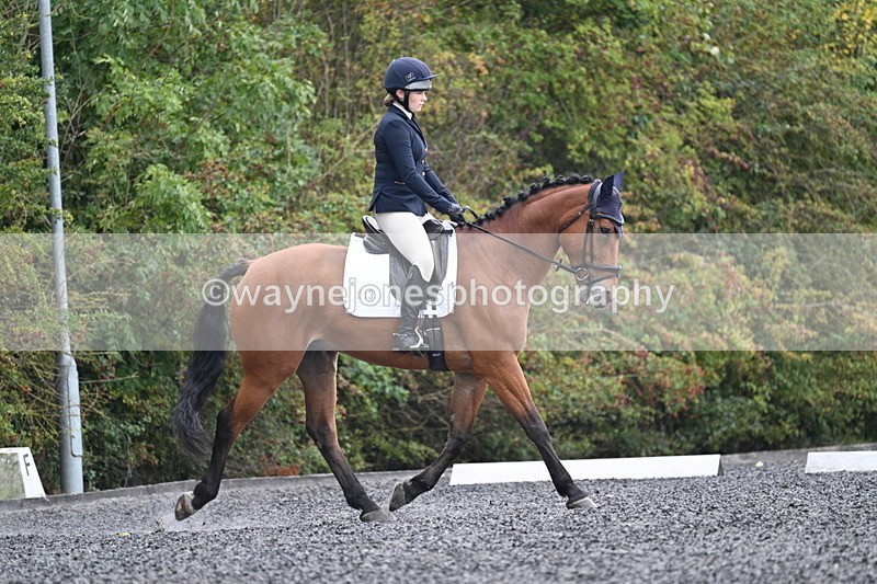 WJ7_3384 - Time 09:54 to 10:54