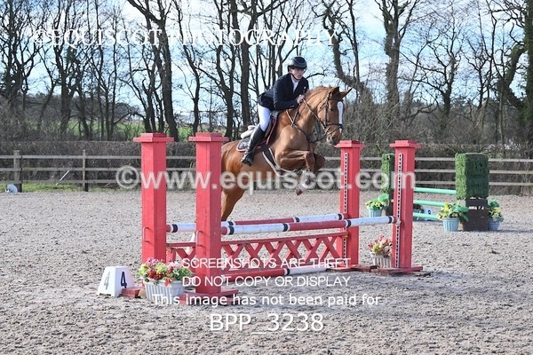 BPP_3238 - CLASS 2  Club/ Unaffiliated 80cms Open