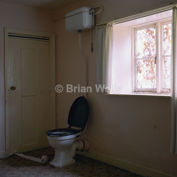 Discarded Toilet Roll - Abode's