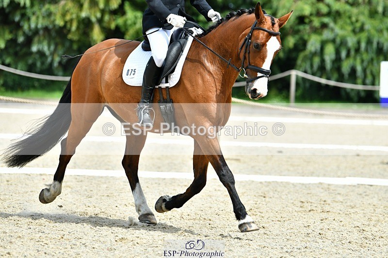 230623-145549-02628 - Cls 6 Elementary 53Q