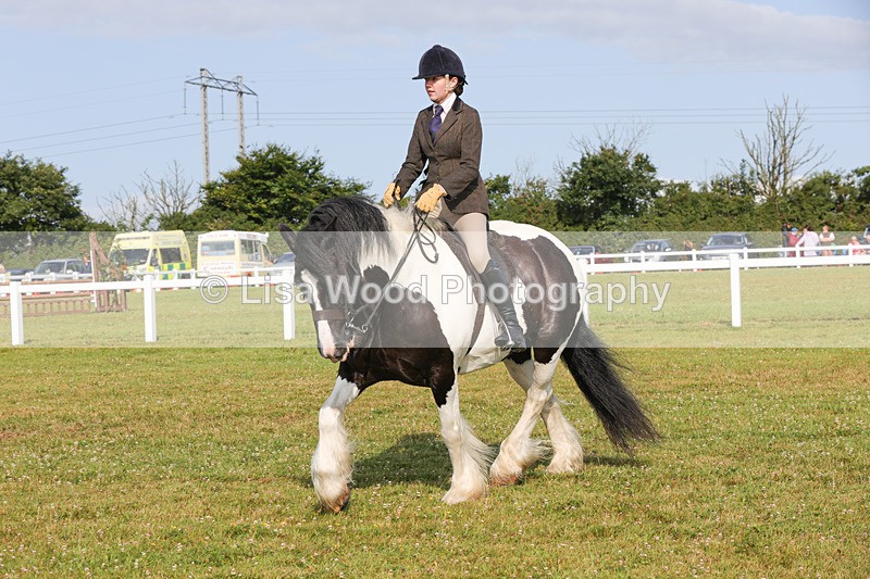 1X9A3156 - Class 27:  Ridden Native/Trad Coloured Horse