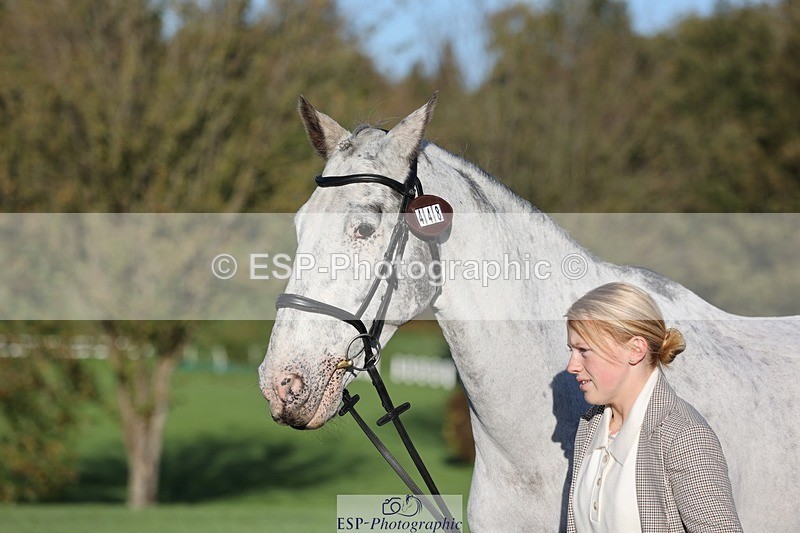 241027-085947-14950 - 448-Elise.Washer-MENELAUS