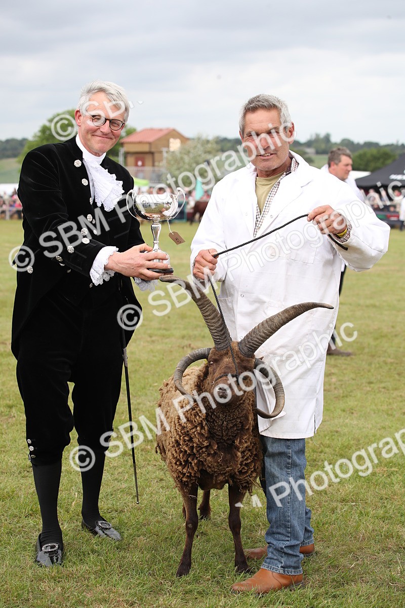 SBM_07890 - Grand Parade