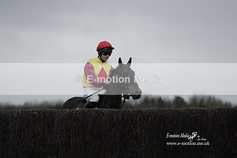 PtP 260323 0716 - New Forest Hounds Point-to-Point Larkhill 26/03/23