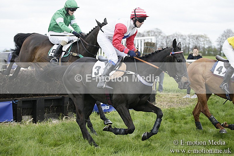 PtP 170417 16 - Old Berks Point-to-Point Lockinge 17/04/17