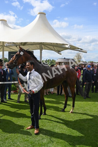 yr12052022r4-58 - Race 4 3.35pm Al Basti Equiworld Dubai Dante Stakes