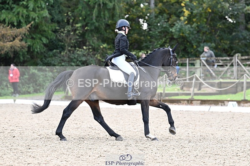 251023A-140409-05453 - B-148-Tarka.Abraham