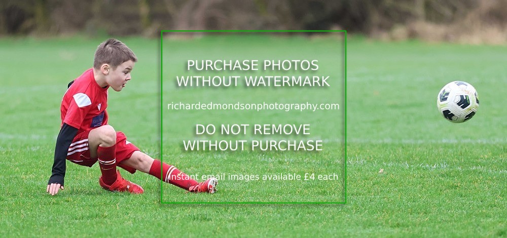 533A0857 - Ibis Under 7's (28/2/26)