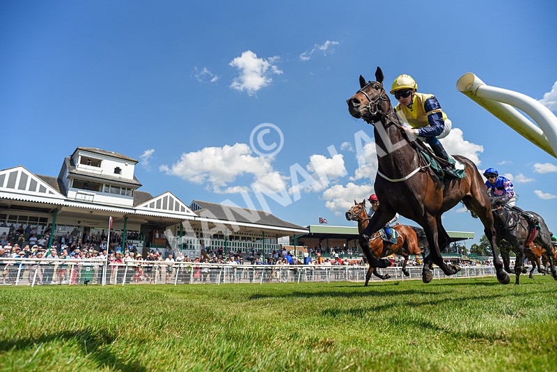 120525-Race 2-Far Ahead-3996