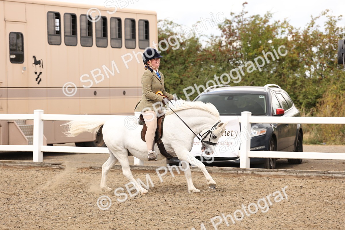 SBM_05246 - Class 56b -  Style & Performance - 50cm (20+)