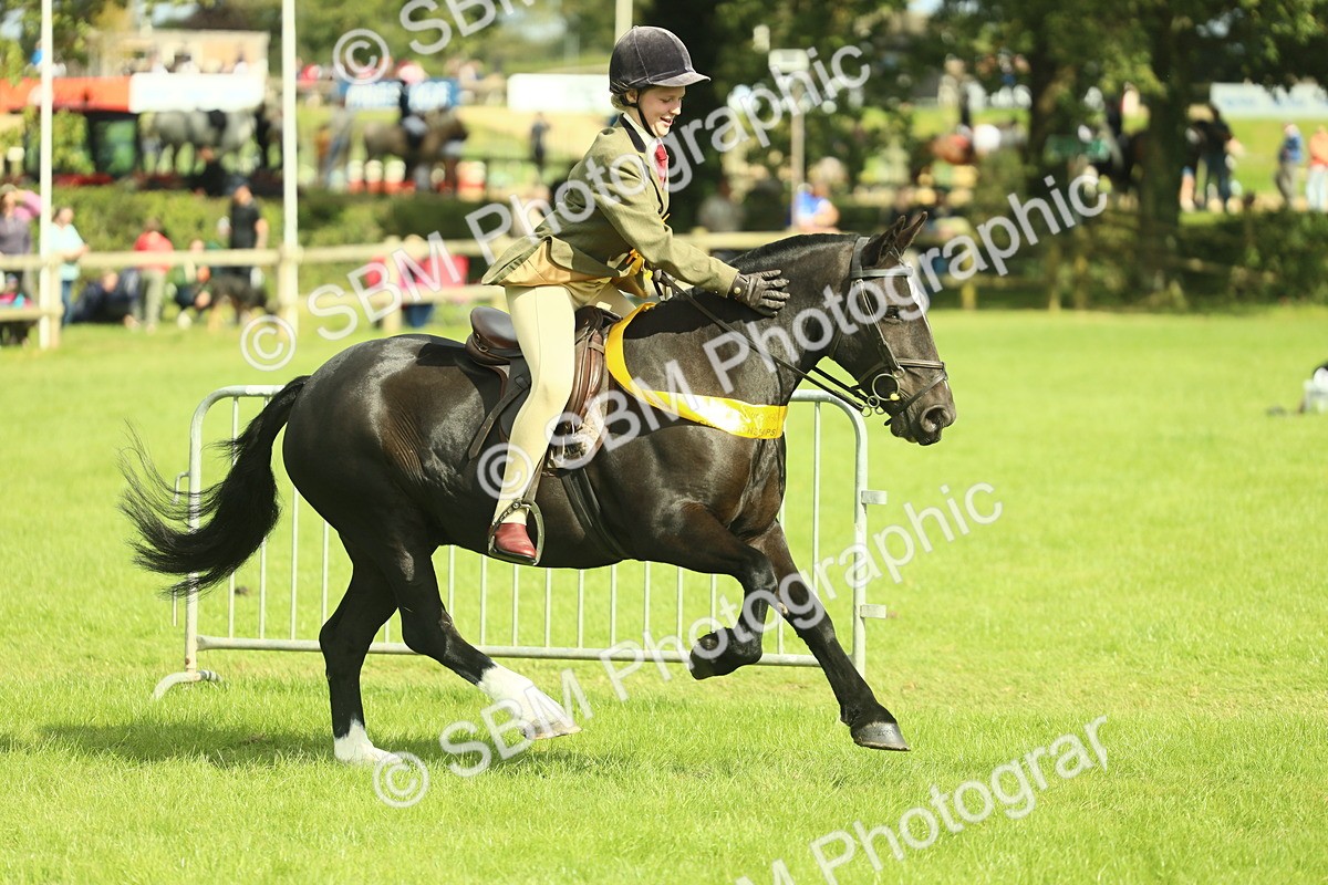 SBM_44846 - S31 - Working Hunter Pony