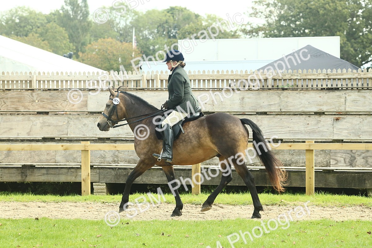 SBM_62592 - S63 - Other Coloured Horse Ridden