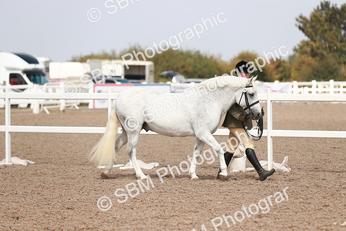 SBM_13815 - Class 209 IH Veteran Pony