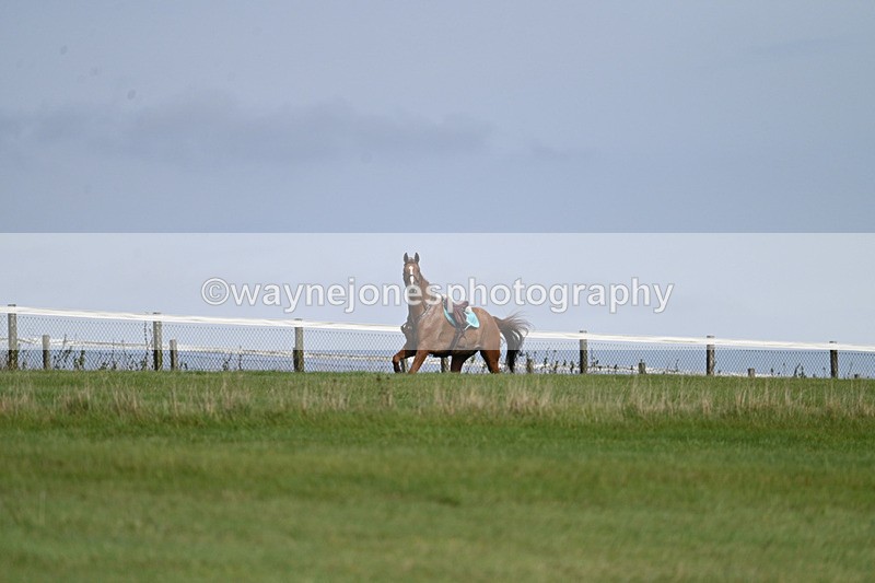 WJ7_7507 - Time 13:21 to 13:29