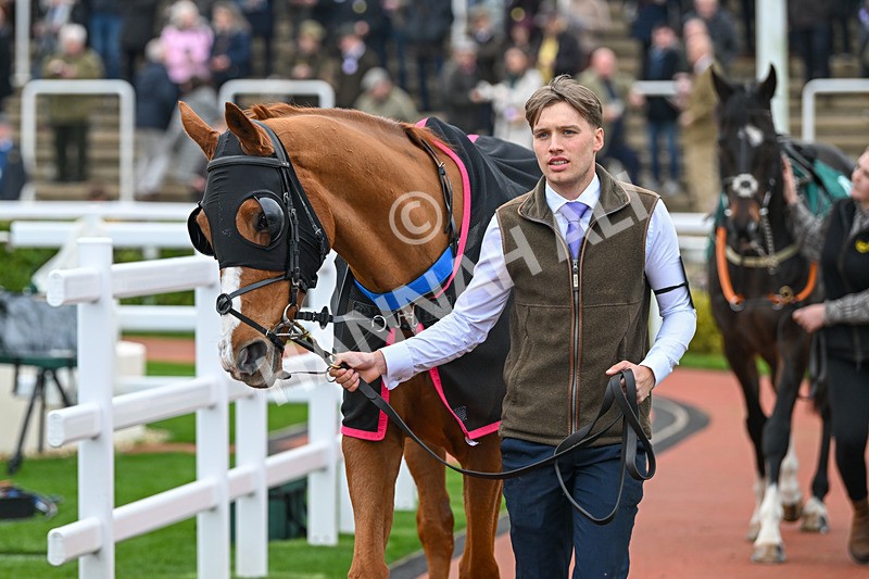 161124-Race 2-Paddock-Captain Speaking-9326 - Race 2