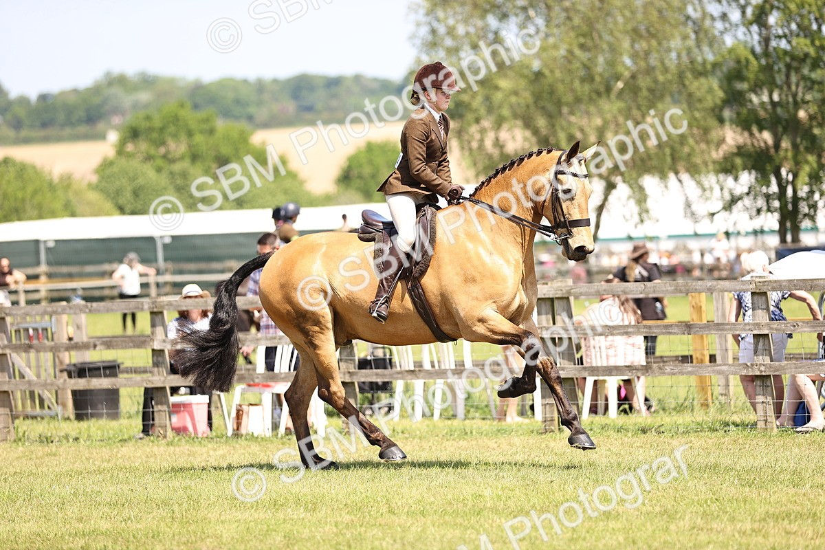 SBM_15153 - Class 79-80 - LIHS BSHA Rising Star Ridden Hunter