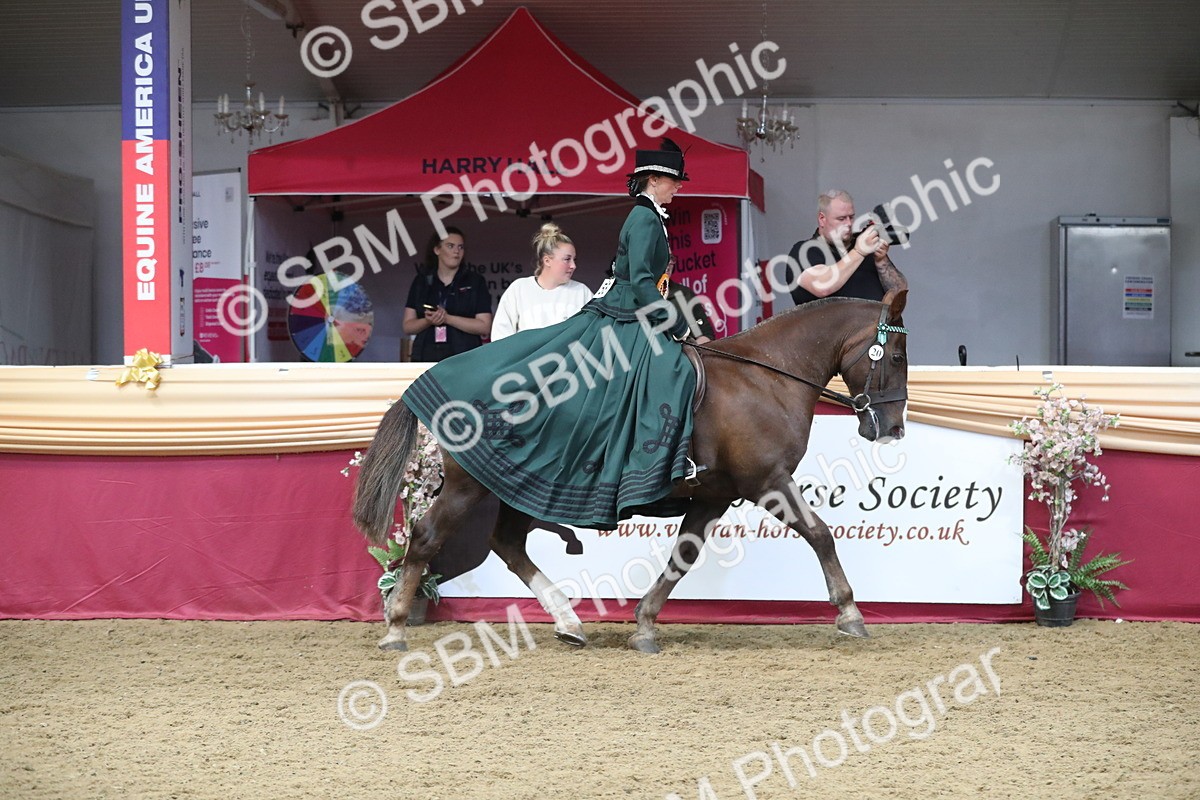 SBM_12225 - Class 107 Ridden Costume- Astride Adult (20+)