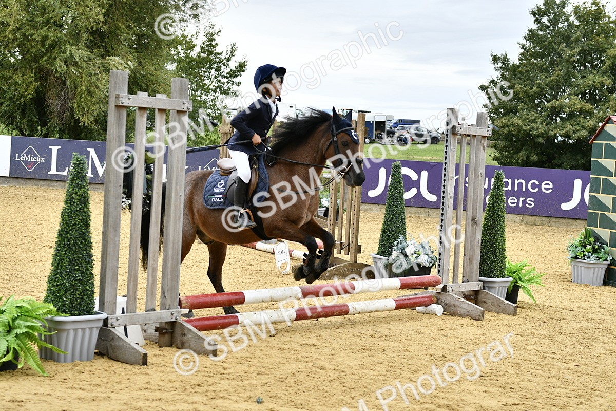 SBM_66160 - J2a mini Tour Junior Pony 30cm Championship