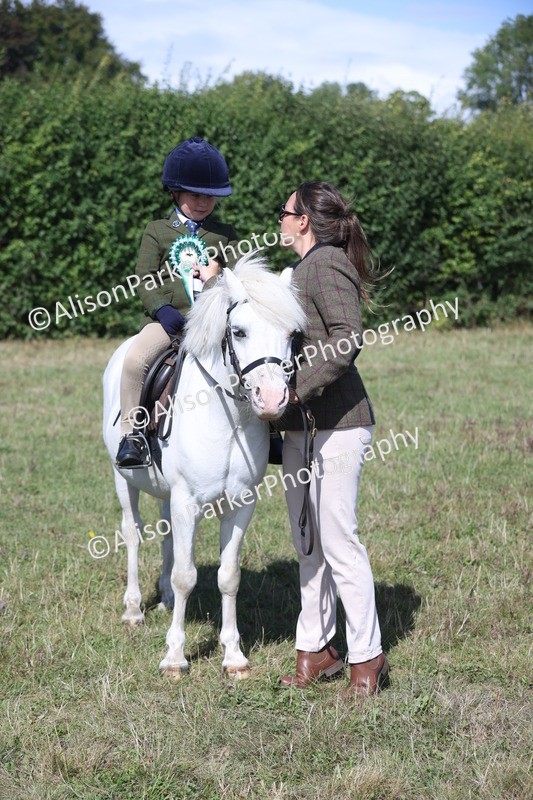 20250831-2561 - Class 16 - Family Pony