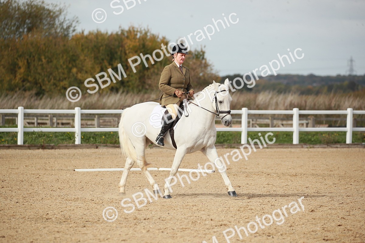 SBM_002226 - Class 6 - Elementary 5