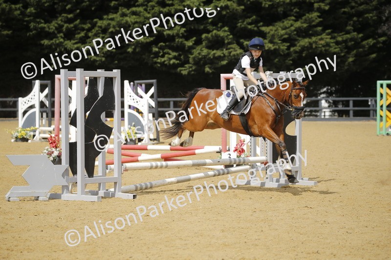 20250622-3823 - 50cm