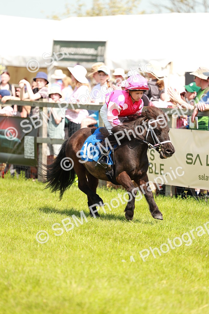 SBM_04988 - Shetland Grand National