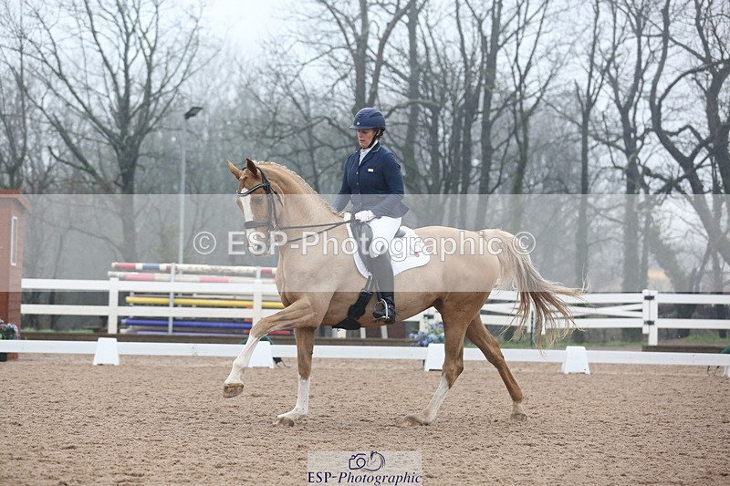 240217A-123526-02918 - 274-Clare.Smith-Dori.Dragon.Fly