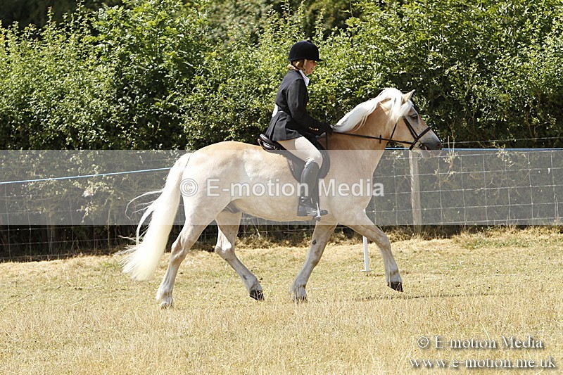 _BS_0733 - BVRC Show 2018 Ring 1