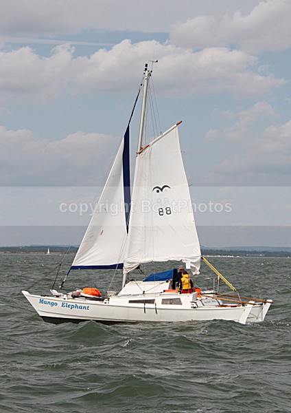 100530 MANGO ELEPHANT IMG_8663 - Sailboats - multihull