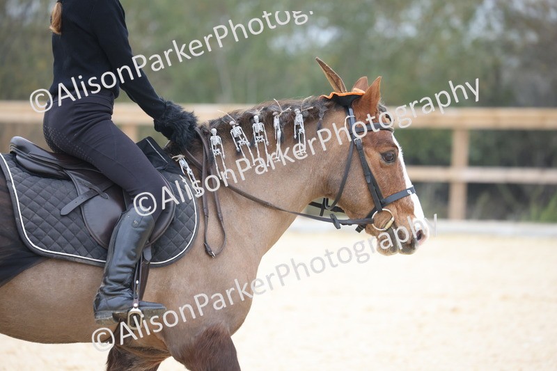 L20261031-0035 - Class 1 - Intro 2