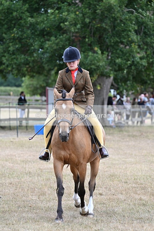 WJ7_7373 - Class 2 Best Rider