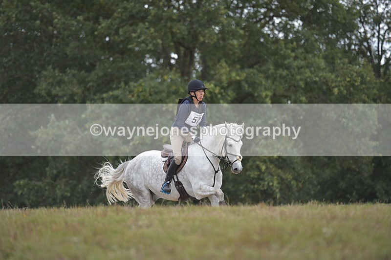 NGP_2213 - XC Time 11:20 to 11:36