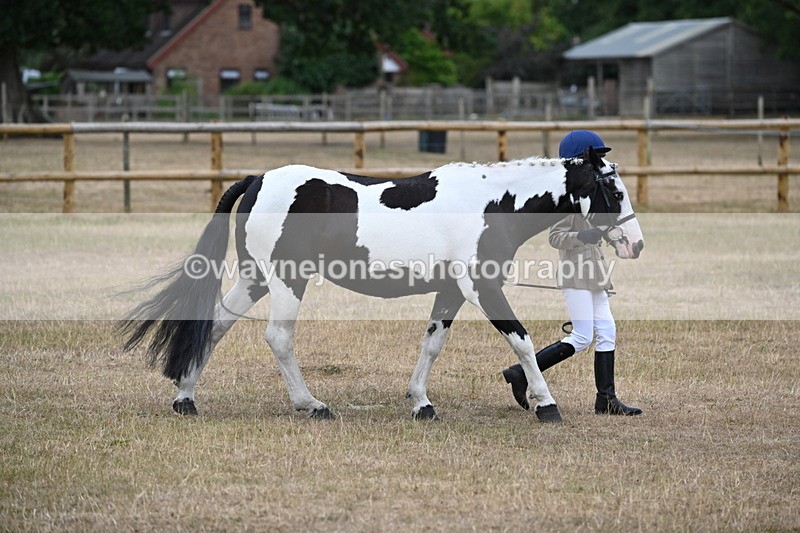 WJ6_7880 - Class 10 Coloured in Hand