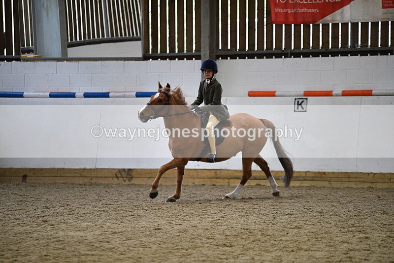 WJ5_6818 - Class 10 Childs Pony