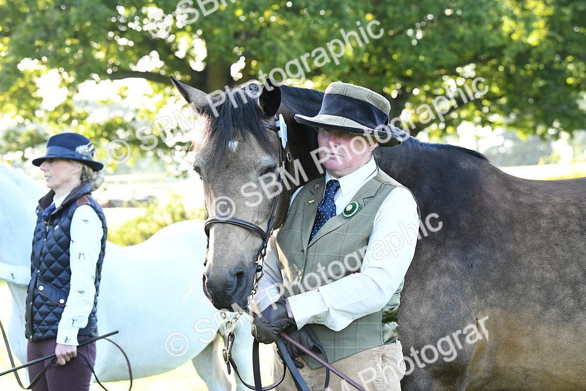 SBM_32693 - S15 - Condition & Turnout In Hand
