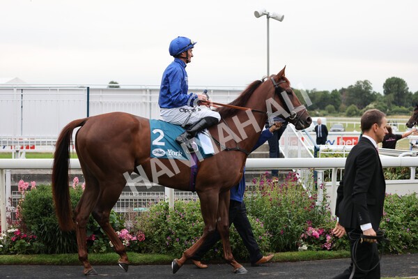 yr22072022r6-4 - Race 6 7.50pm Gallop Racing Stakes