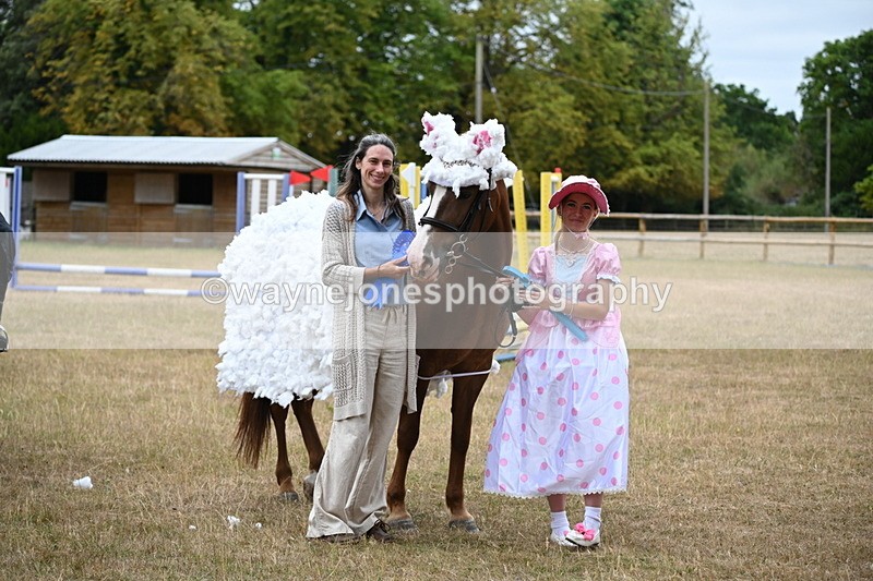WJ6_9002 - Class 11 Fancy Dress