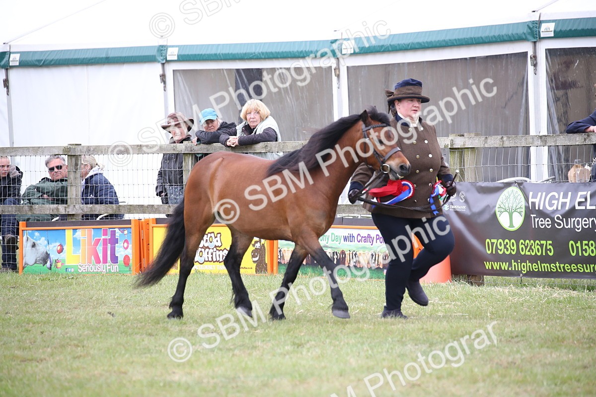 SBM_09741 - Ch 50 - Price Family Supreme In Hand