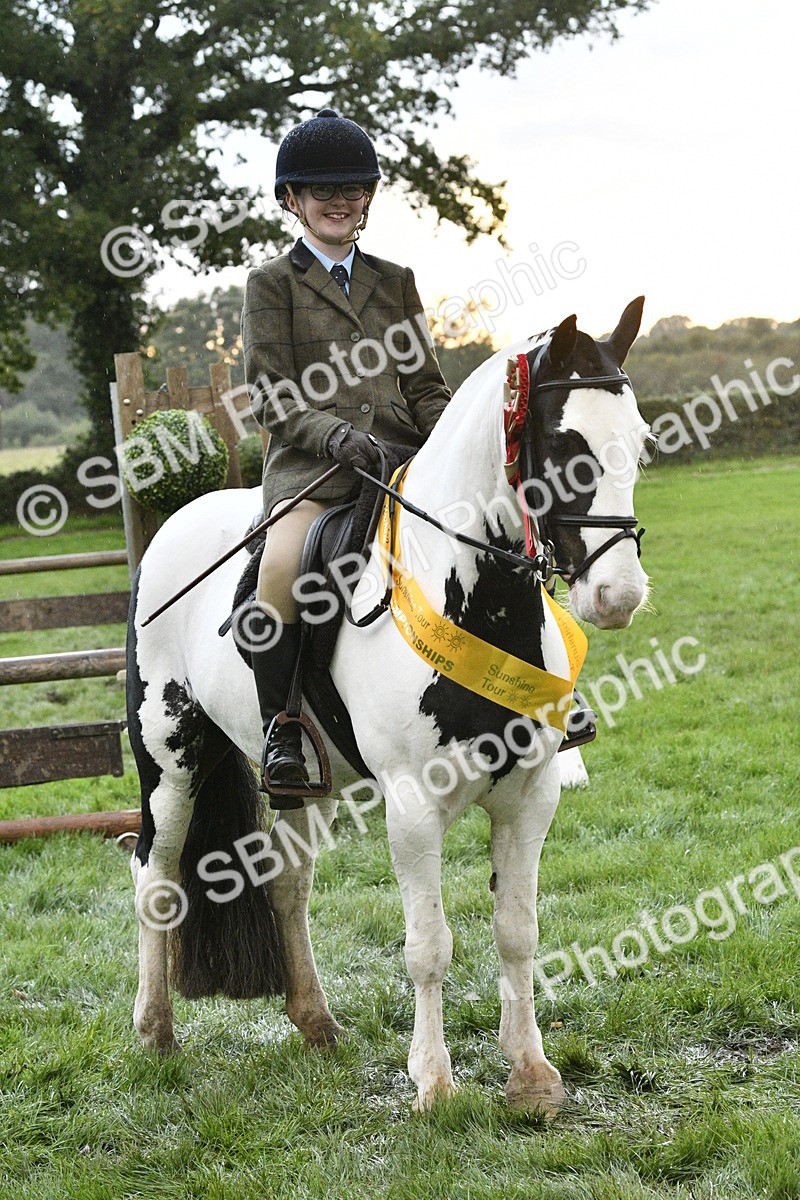 SBM_53362 - S14 - Riding Club Horse