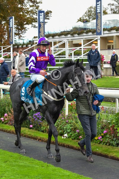 131023-Race 1-Pilgrim-9091 - Race 1 2.05pm William Hill EBF Novice Stakes