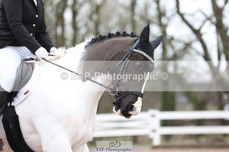 240121A-105602-01173 - Cls 6 Music Novice