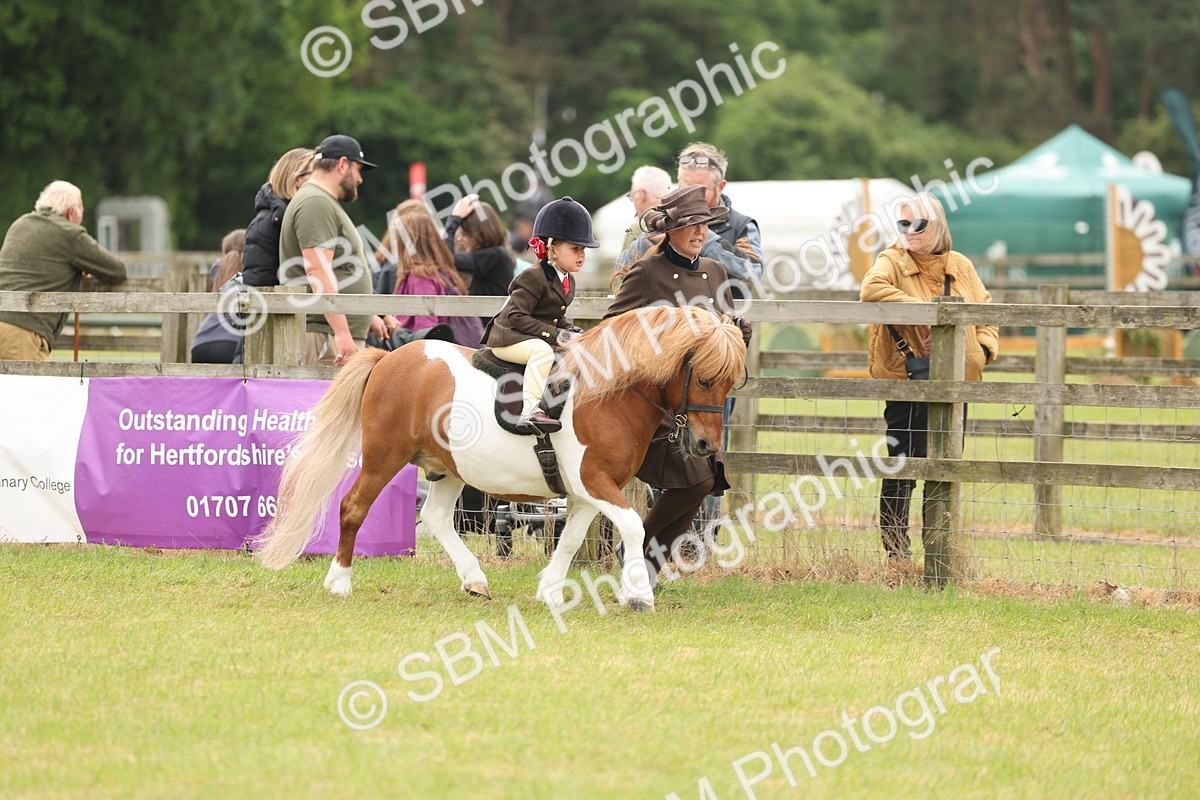 SBM_06654 - Class 74-75 - M&M Lead Rein and First Ridden Pony